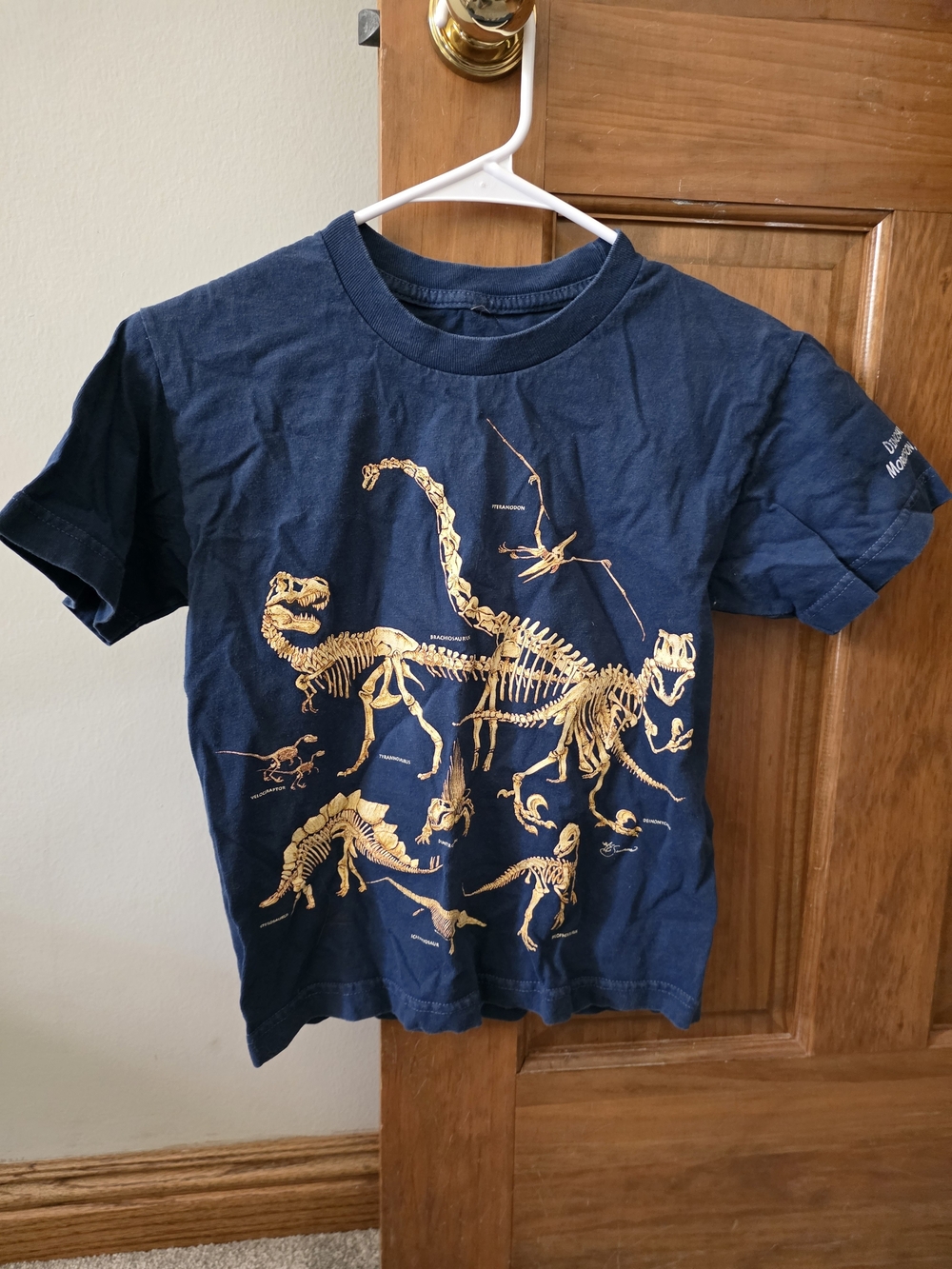 Kids Navy Blue Dinosaur Skeleton Graphic Tee